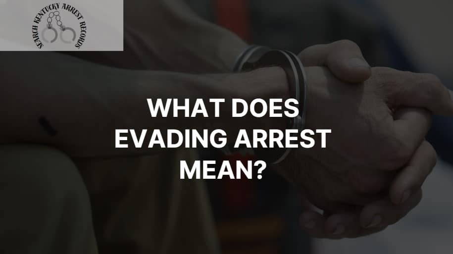 Evading arrest meaning